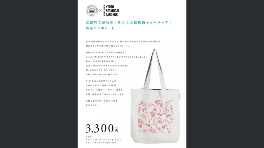 Light Cycles Kyoto Catalogue