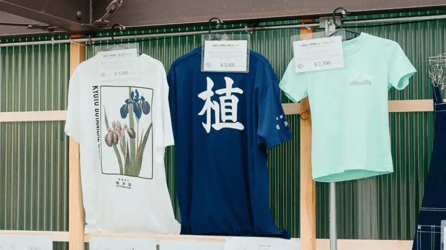 Light Cycles Kyoto Catalogue