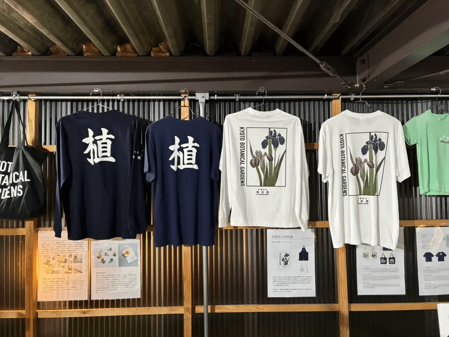 Light Cycles Kyoto Catalogue