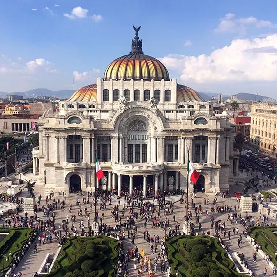 Light Cycles: A light show in the middle of nature CDMX