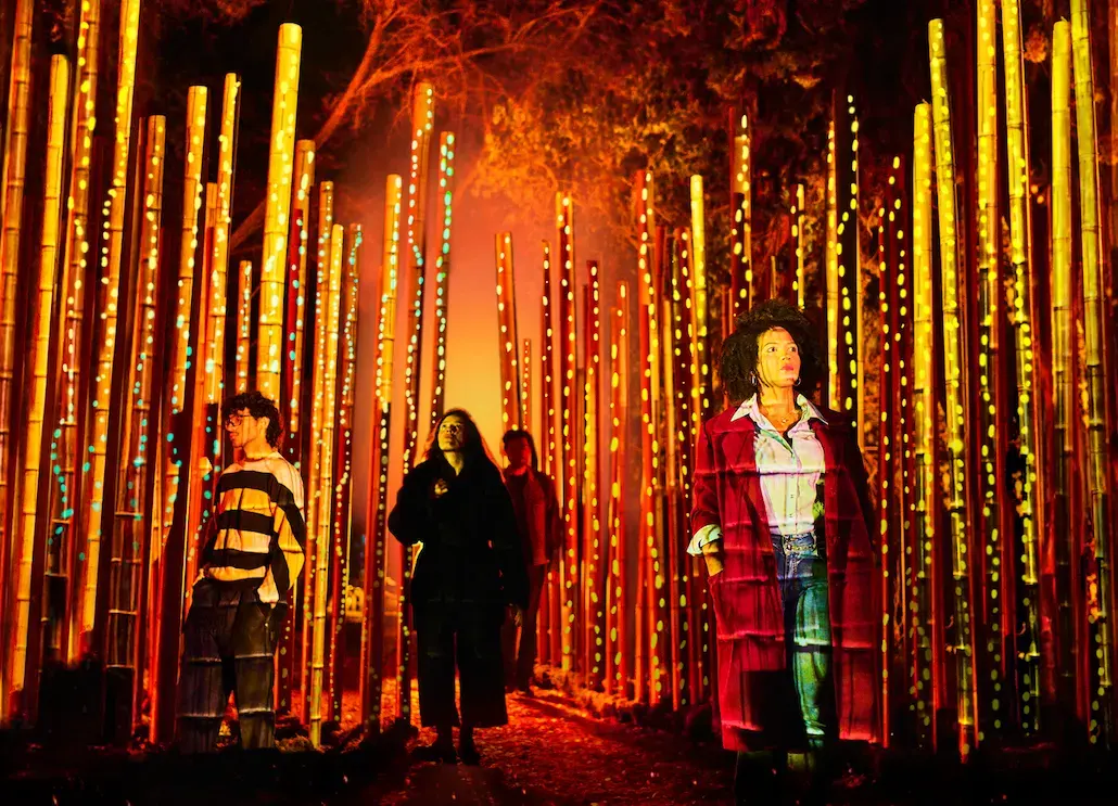 Team buildings y grupos grandes (20+ personas) - Light Cycles CDMX: Un espectáculo de luz en la naturaleza