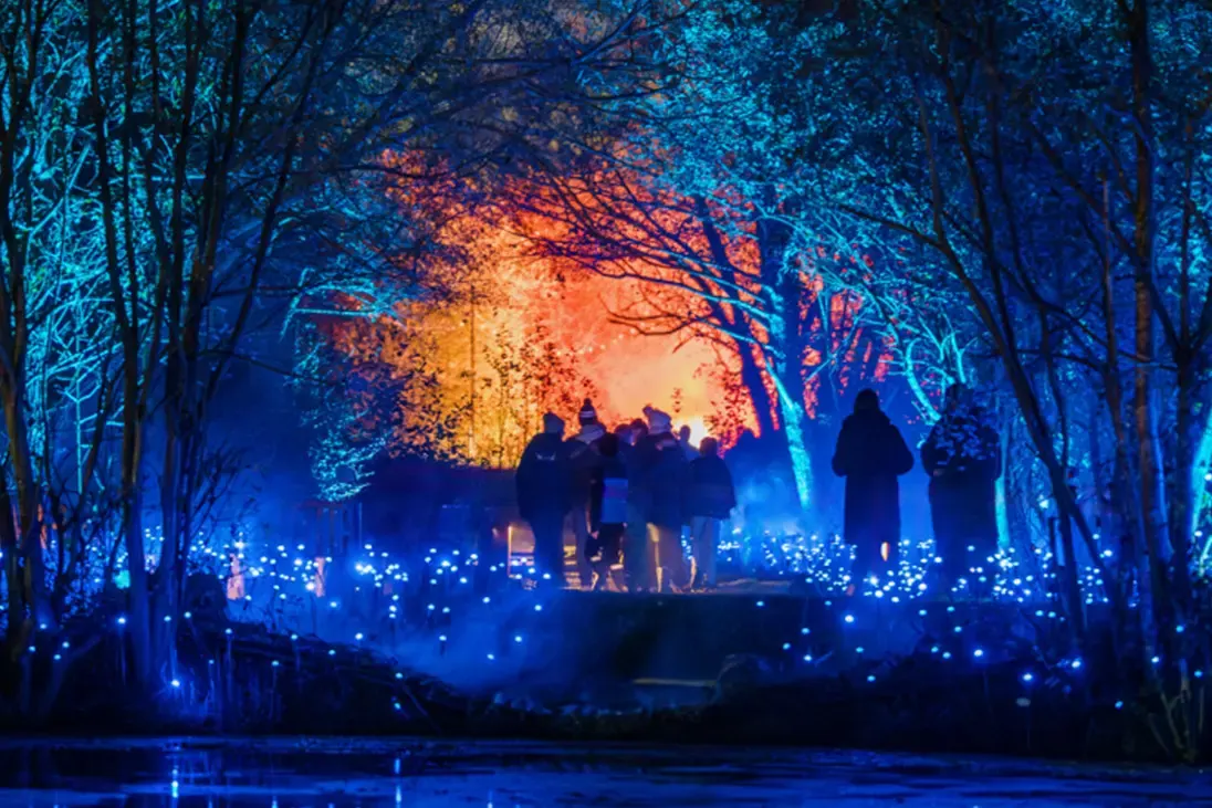 Finibus Tortor - Light Cycles Birmingham: A light show in the nature