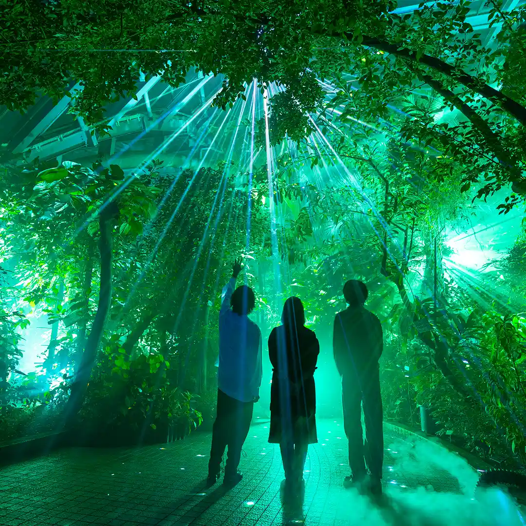 Light cycles