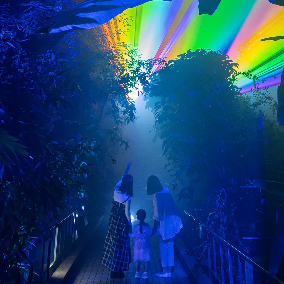 Light cycles