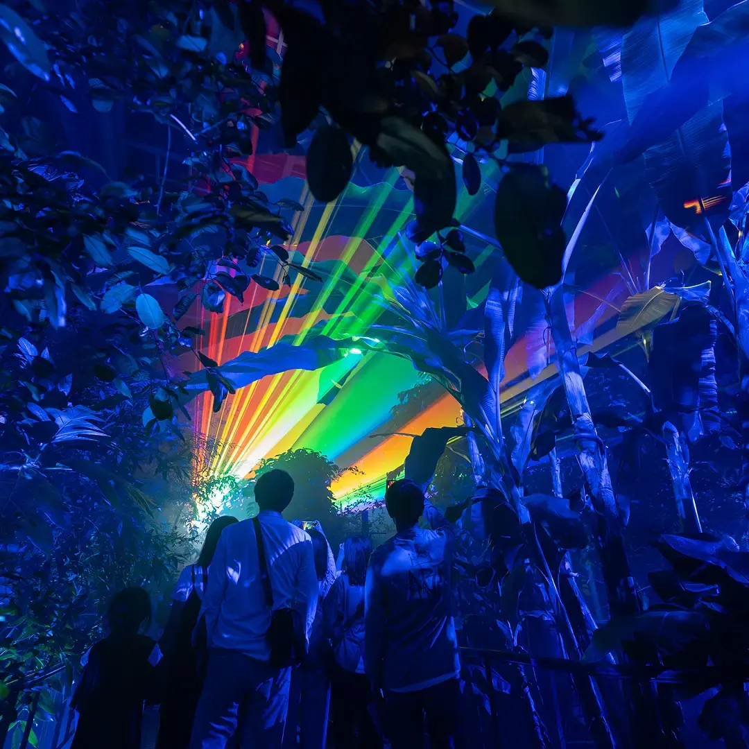 Light cycles