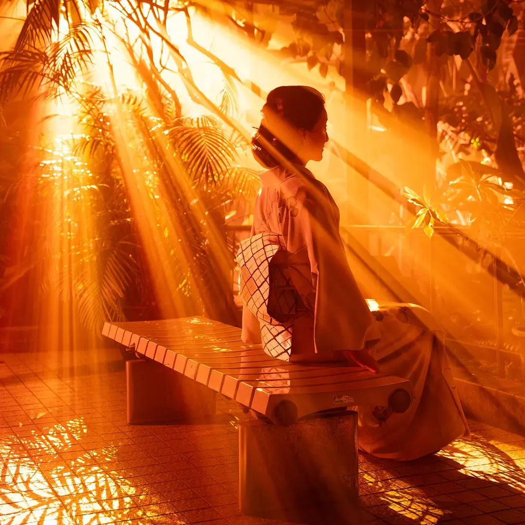 Light cycles