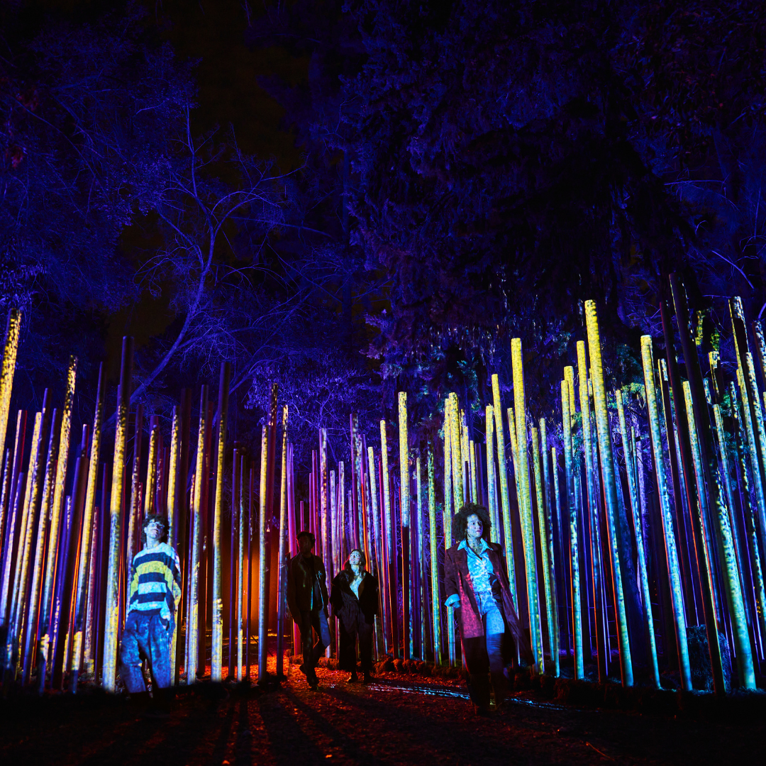 Light cycles