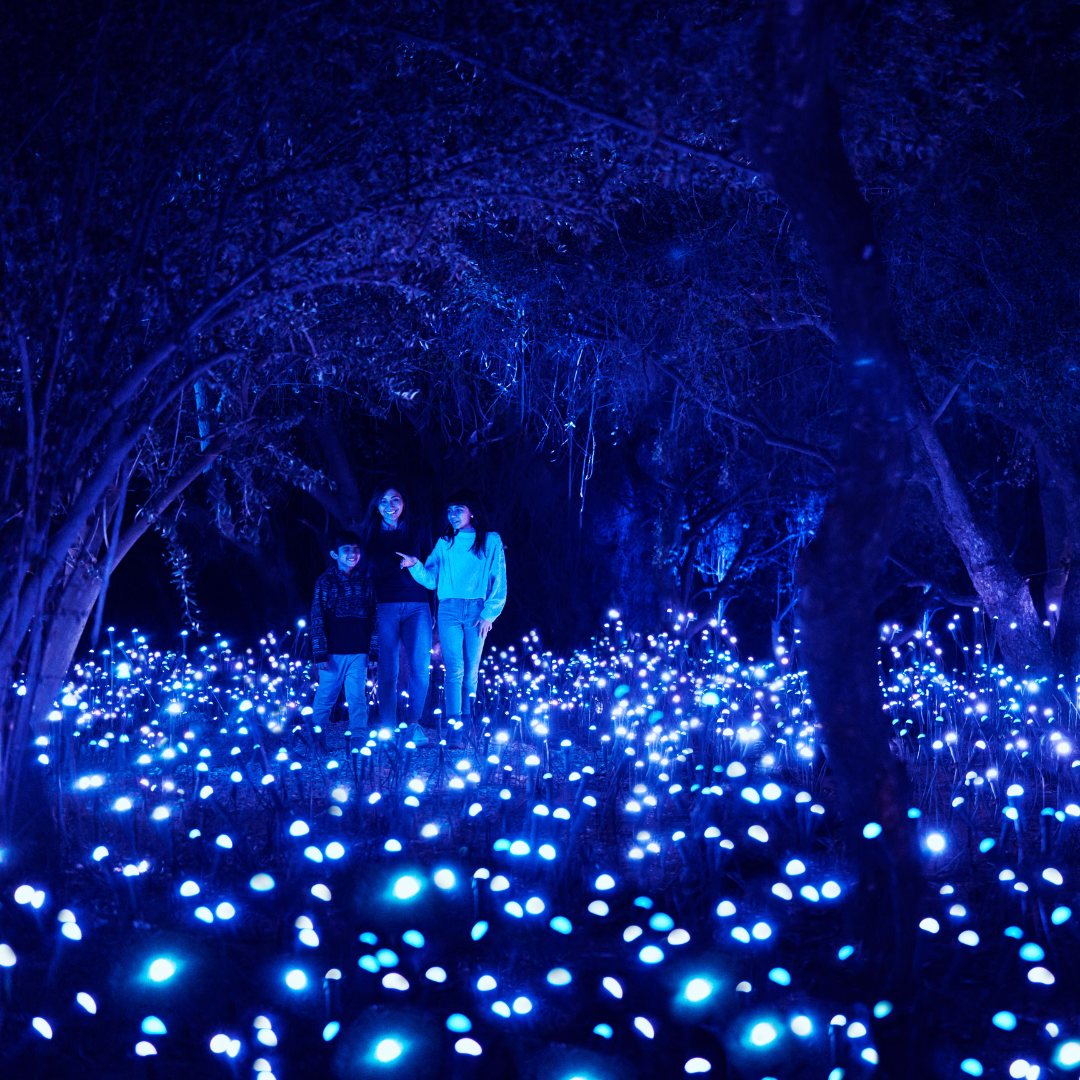 Light cycles